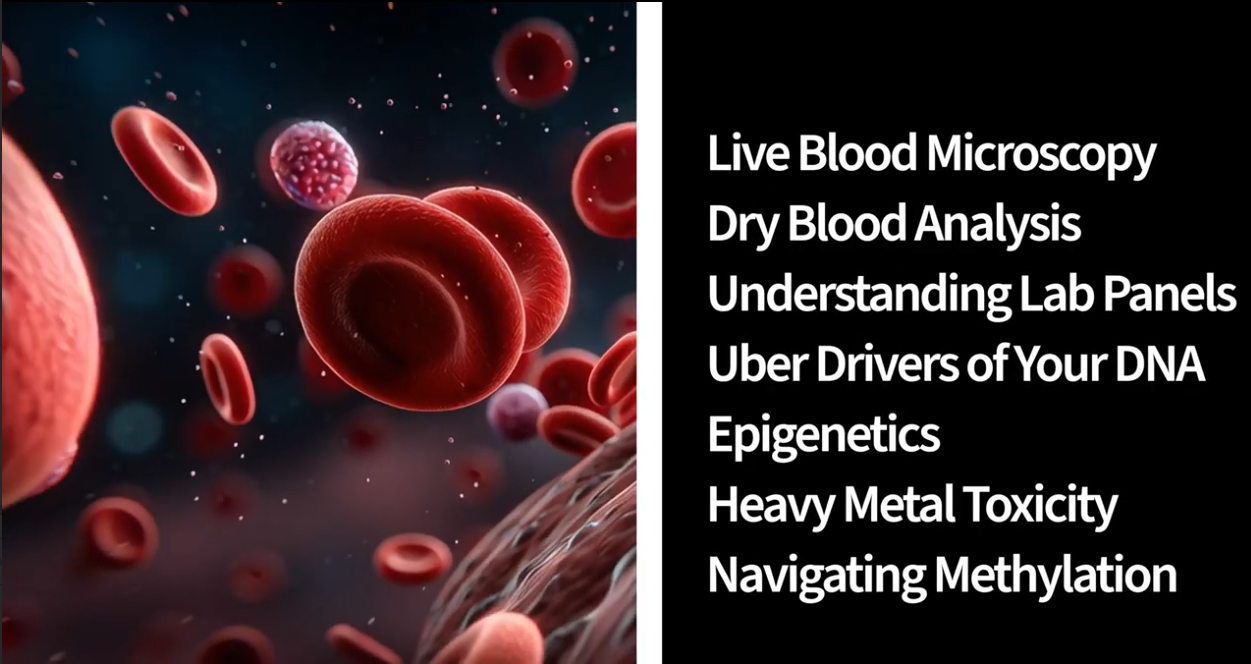 Emphasis Certification Program Videos 2026