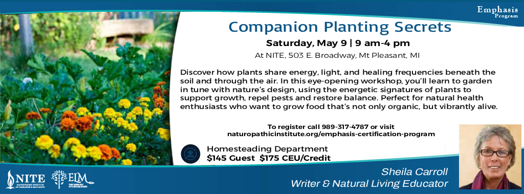 Companion Planting Secrets