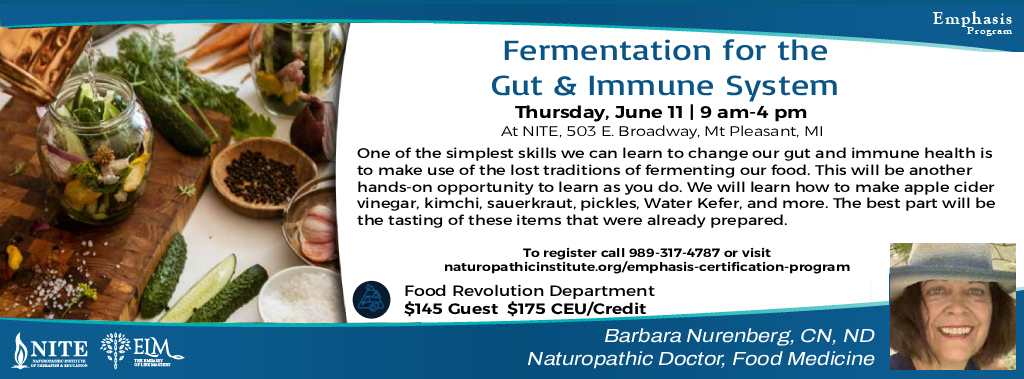Fermentation for the Gut and Immune System