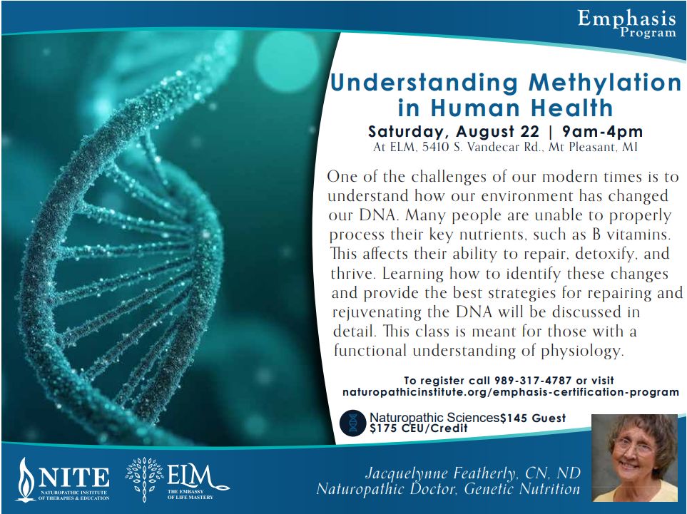 Understanding Methylation in Human Health